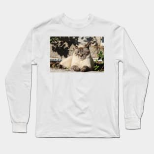 Cat Sleeping Long Sleeve T-Shirt